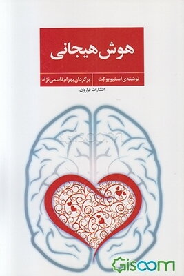 هوش هیجانی