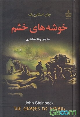 خوشه‌های خشم