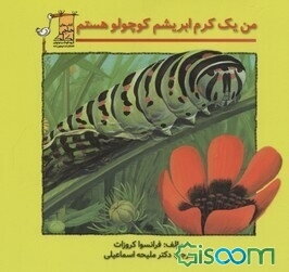 من یک کرم ابریشم کوچولو هستم