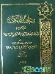 ریاض السالکین فی شرح صحیفه سید الساجدین (ص) (جلد 2)