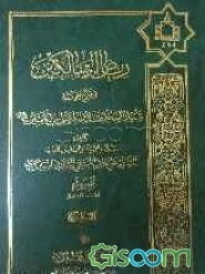ریاض السالکین فی شرح صحیفه سید الساجدین (ص) (جلد 4)