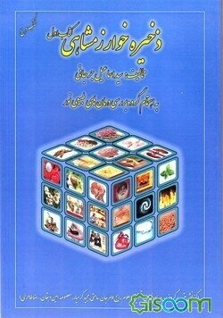 ذخیره خوارزمشاهی (جلد 1)