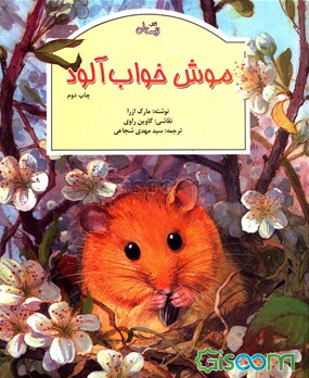 موش خواب‌آلود