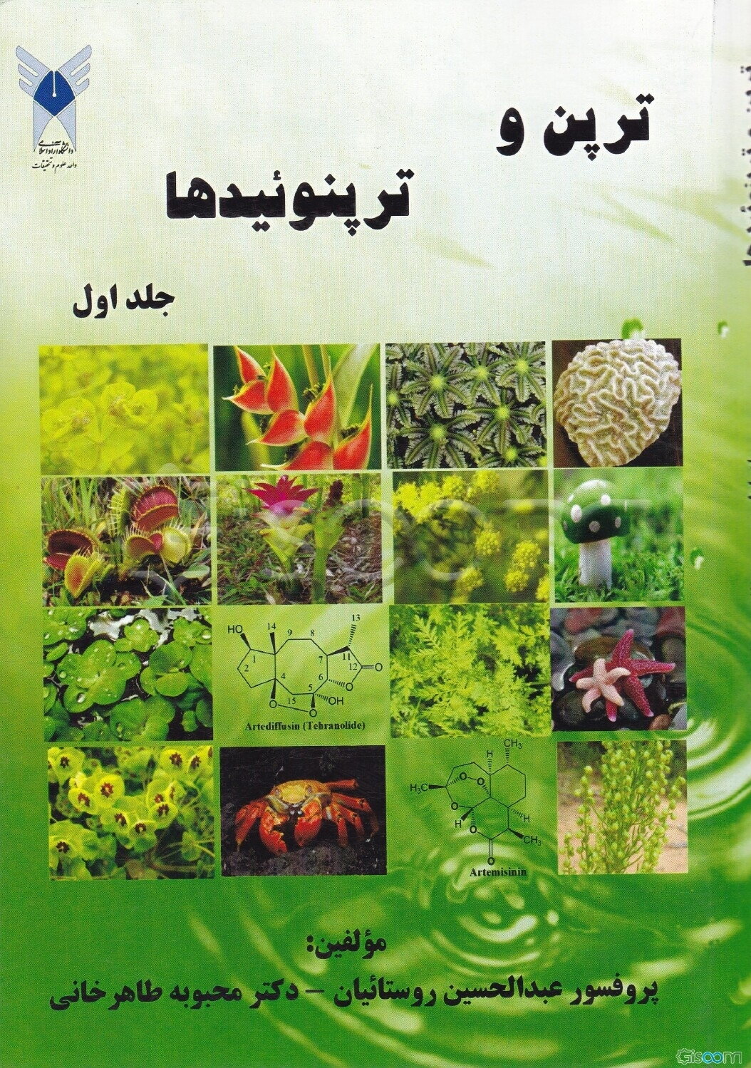 ترپن و ترپنوئیدها (جلد 1)