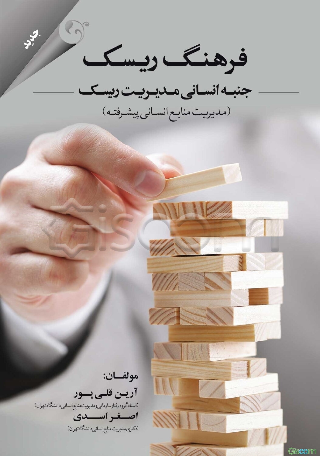 فرهنگ ریسک: جنبه انسانی مدیریت ریسک (مدیریت منابع انسانی پیشرفته)