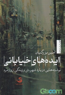 ایده‌های خیابانی: نوشته‌هایی درباره شهر، تن و زندگی روزمره