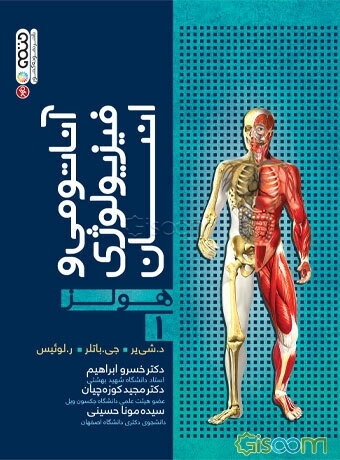 آناتومی و فیزیولوژی انسان (هولز) (جلد 1)