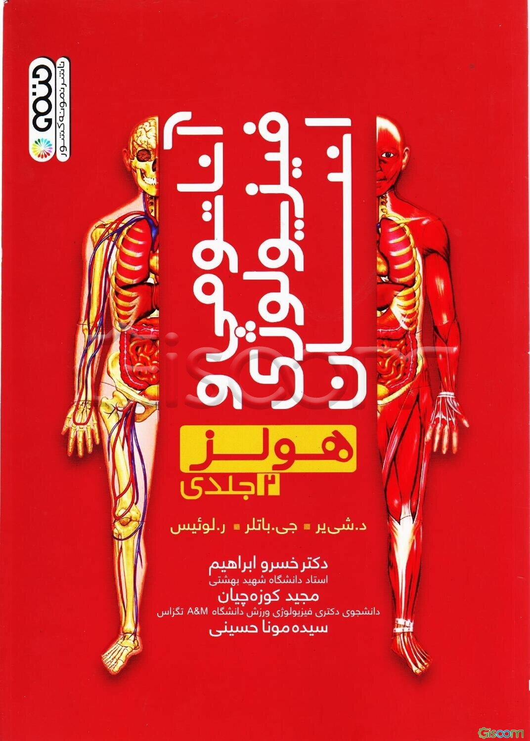 آناتومی و فیزیولوژی انسان (هولز) (جلد 2)