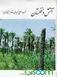 آتش در نخلستان: مجموعه شعر