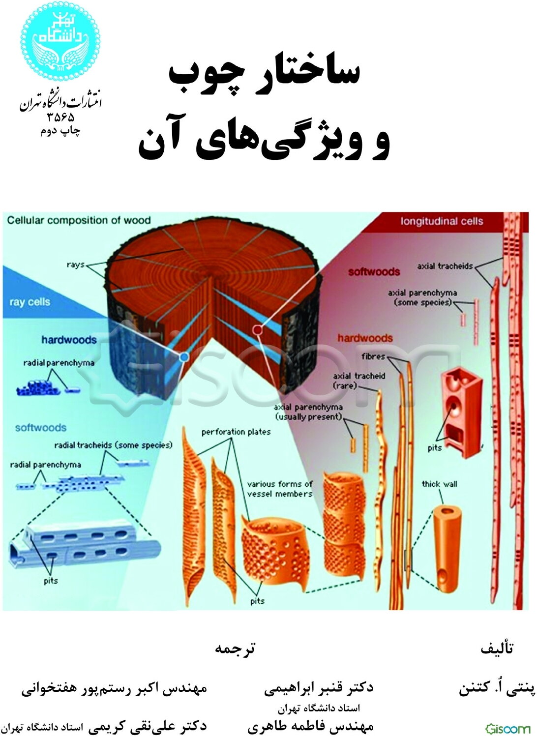 ساختار چوب و ویژگی‌های آن