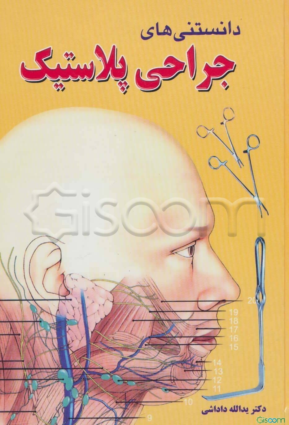 دانستنی‌های جراحی پلاستیک