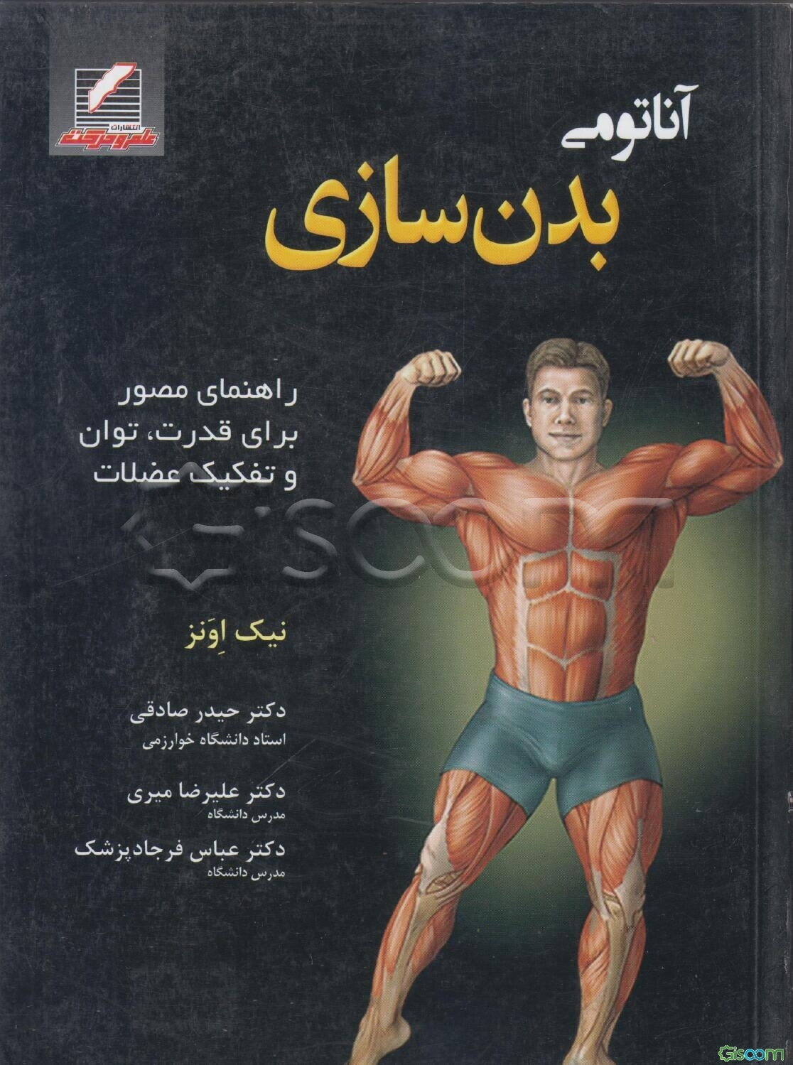 آناتومی بدن‌سازی