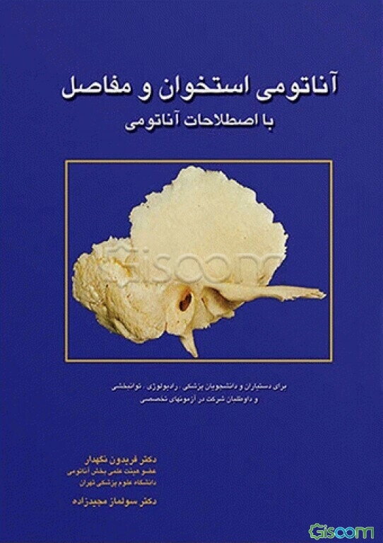 آناتومی استخوان و مفاصل