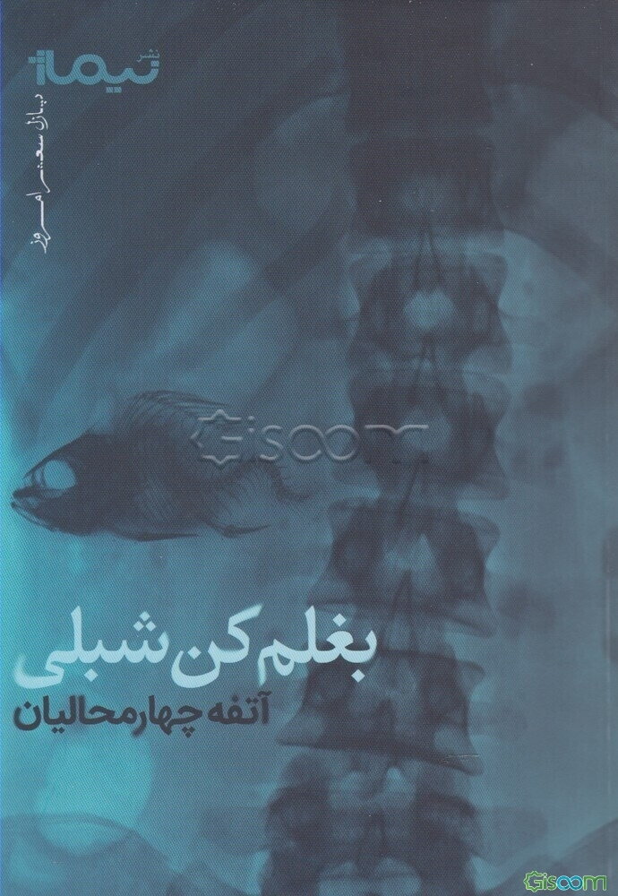 بغلم کن شبلی