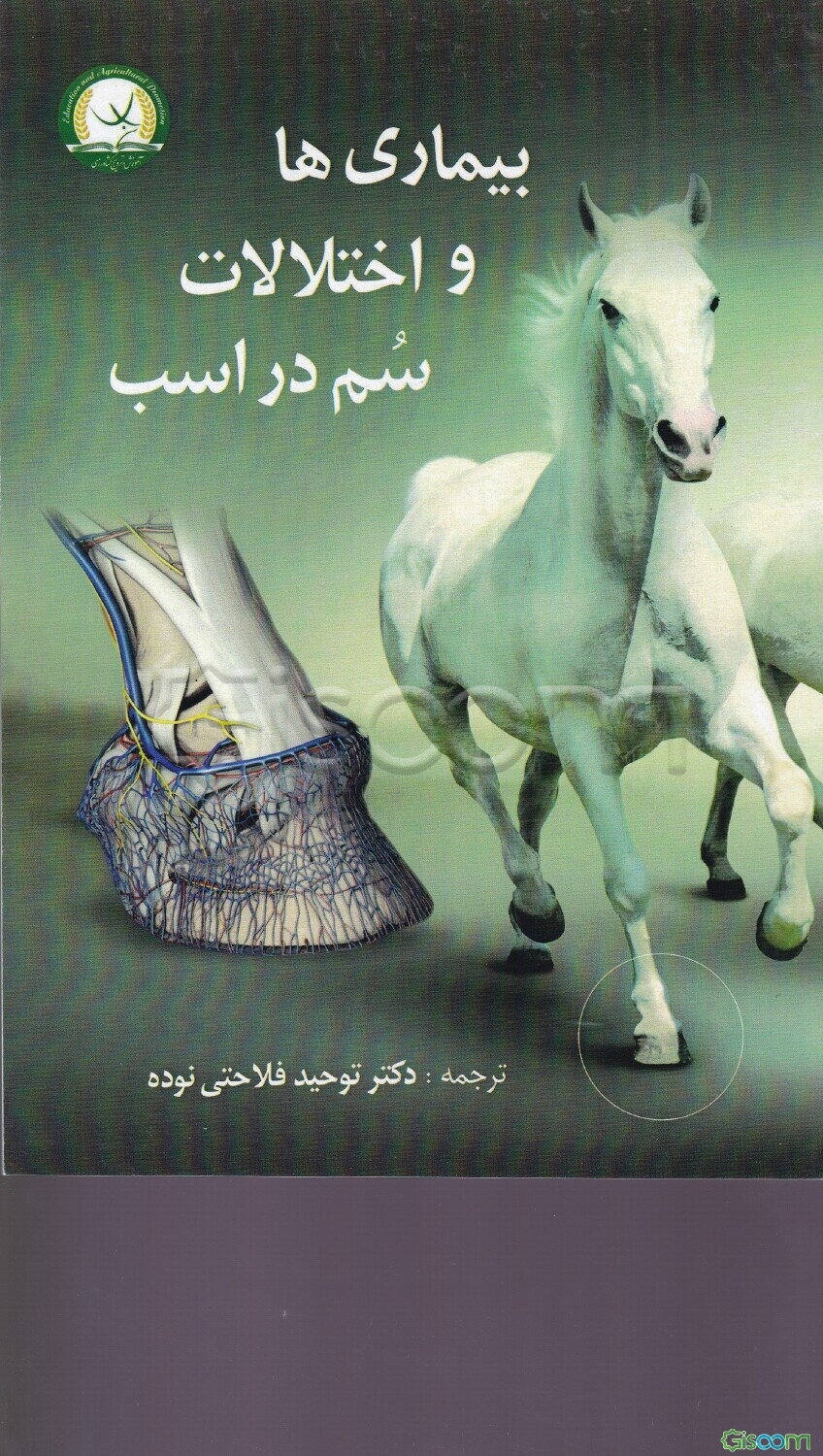 بیماری‌ها و اختلالات سم در اسب