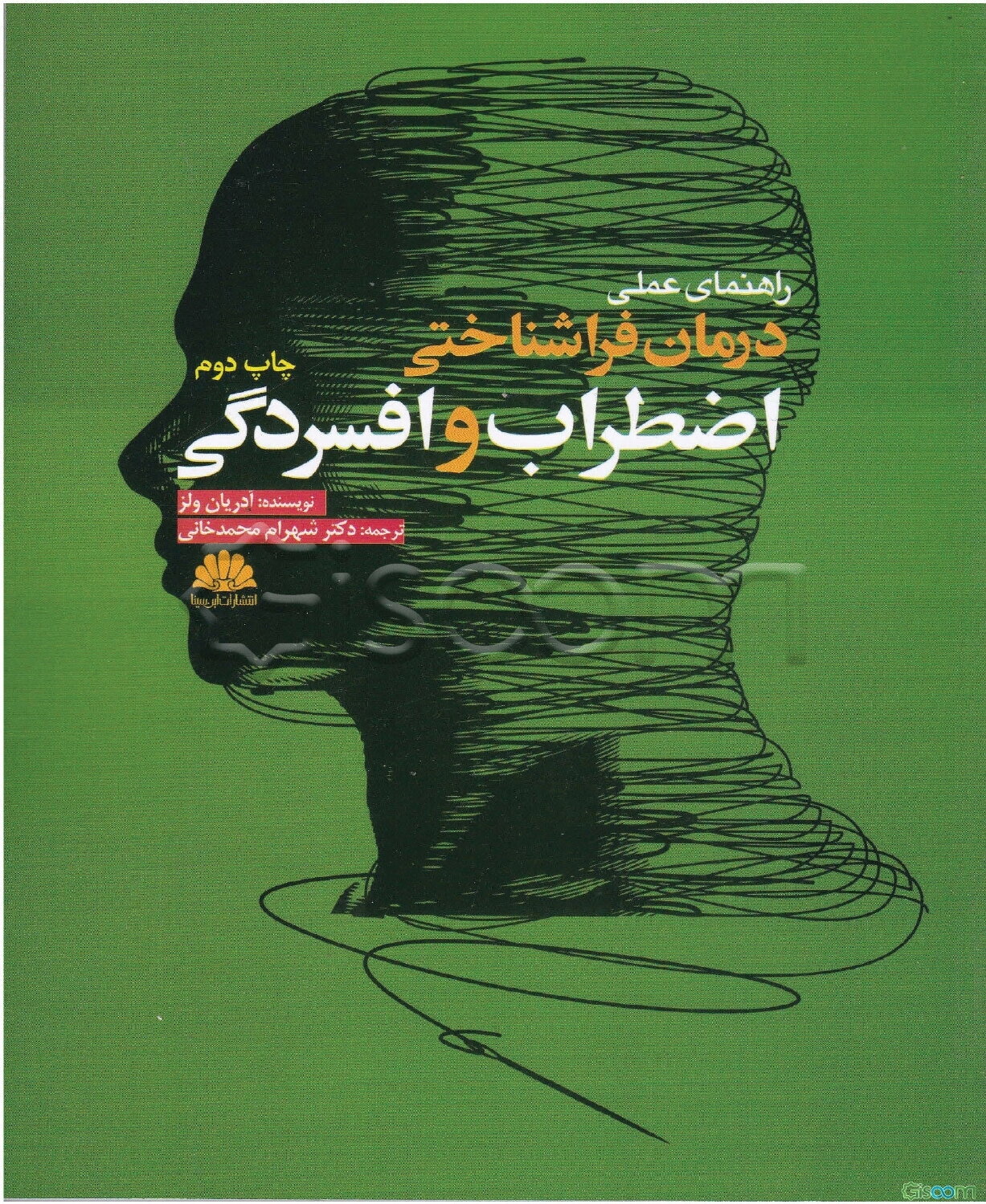 راهنمای عملی درمان فراشناختی اضطراب و افسردگی