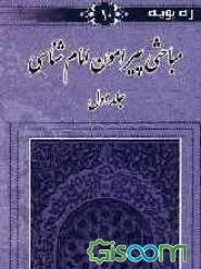 مباحثی پیرامون امام‌شناسی (جلد 2)