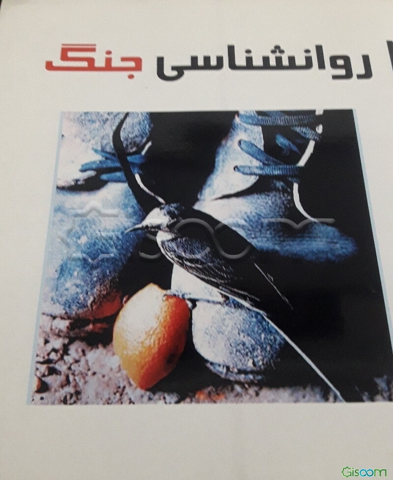 روان‌شناسی جنگ