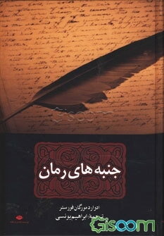 جنبه‌های رمان