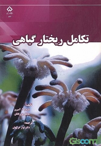 تکامل ریختار گیاهی