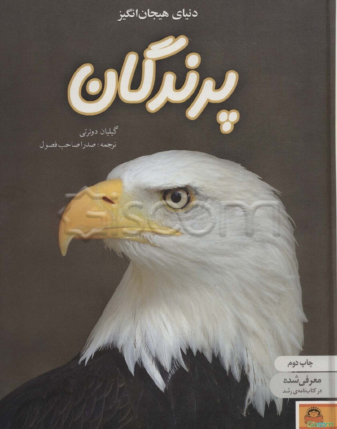 دنیای هیجان‌انگیز پرندگان