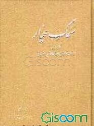 سمک عیار (جلد 1)