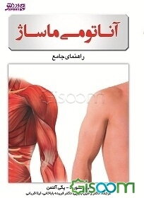 آناتومی ماساژ: راهنمای جامع