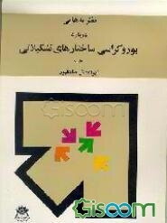 نظریه‌هایی درباره بوروکراسی و ساختارهای تشکیلاتی