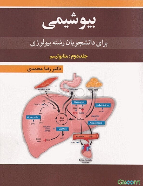 بیوشیمی: متابولیسم (برای دانشجویان رشته بیولوژی) (جلد 2)