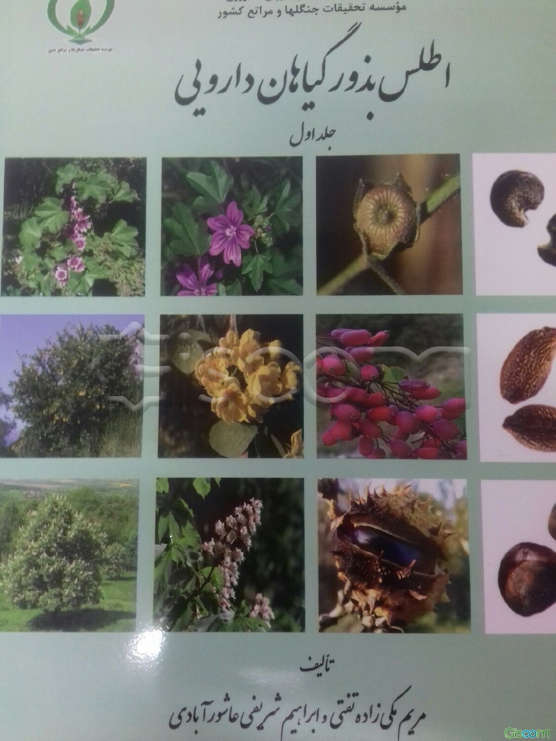 اطلس بذور گیاهان دارویی (جلد 1)