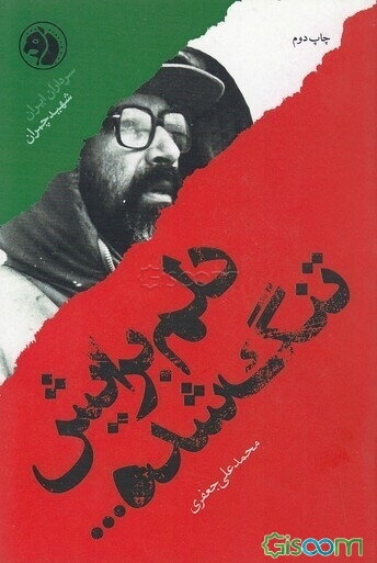 دلم برایش تنگ شده: بر اساس زندگی شهید مصطفی چمران