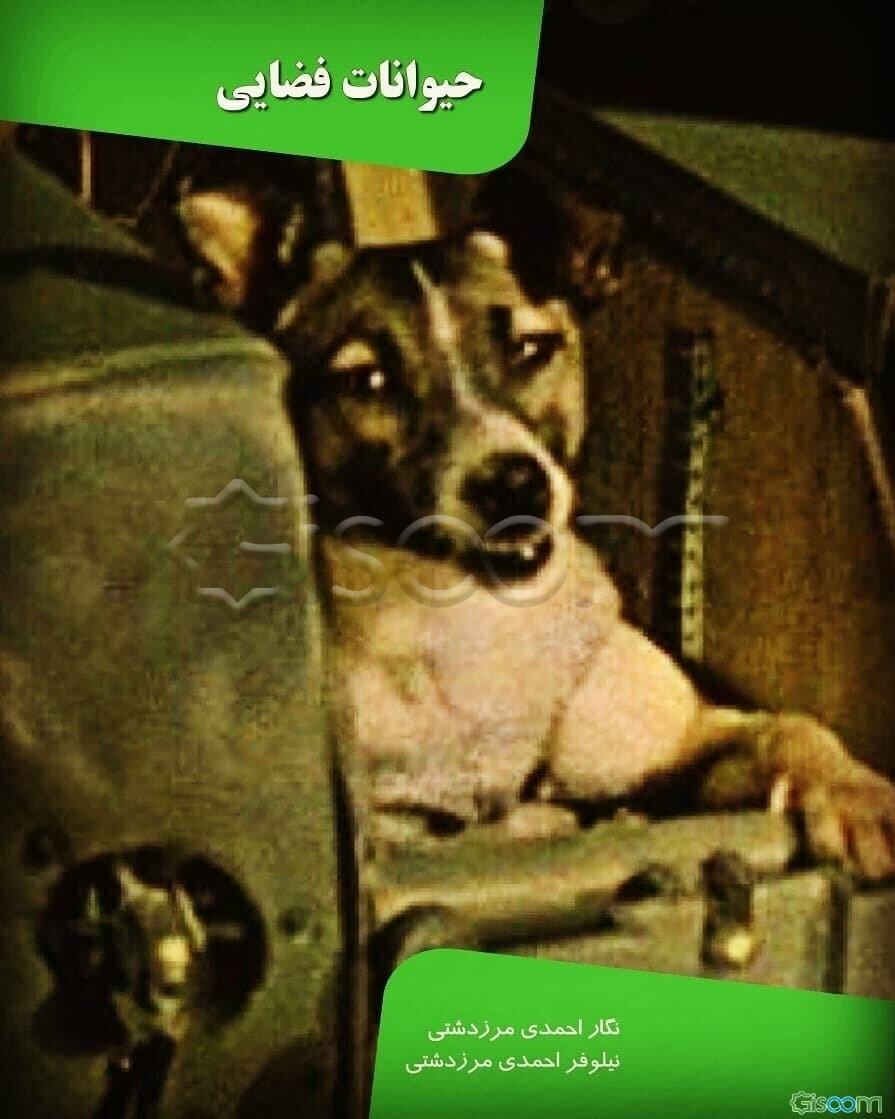 حیوانات فضایی