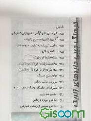 فرهنگ جیبی داروهای ژنریک