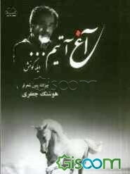 آغ آتیم ... ایله‌گونش (بیرده‌ینی شعرلر)