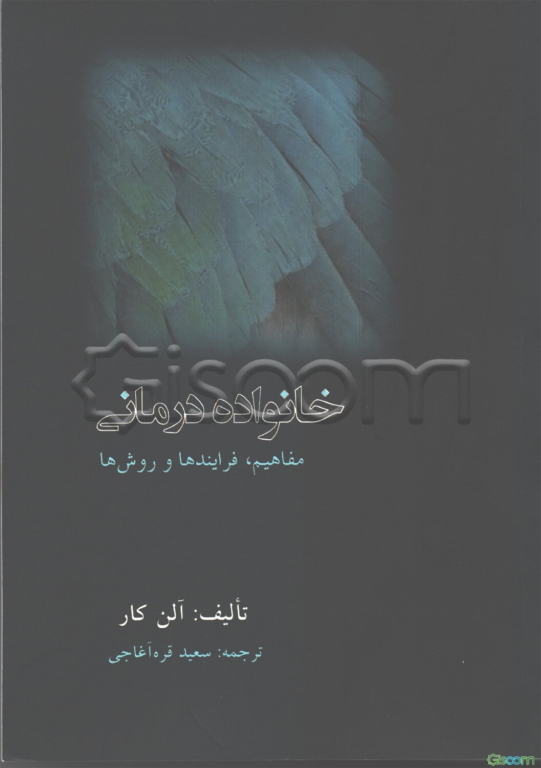 خانواده درمانی: مفاهیم، فرایندها و روش‌ها