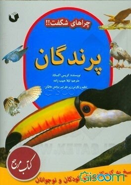 پرندگان: پاسخ به کنجکاوی‌های کودکان و نوجوانان