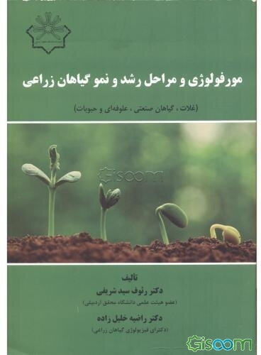 مورفولوژی و مراحل رشد و نمو گیاهان زراعی (غلات، گیاهان صنعتی، علوفه‌ای و حبوبات)