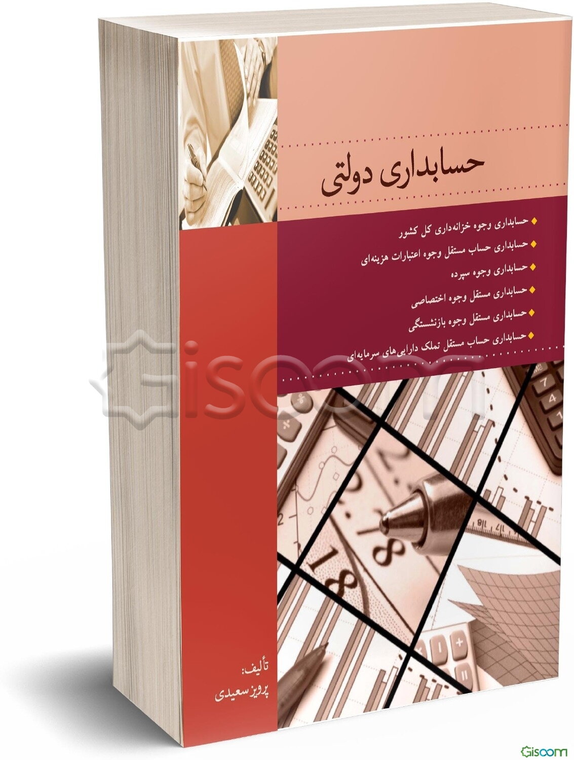 حسابداری دولتی