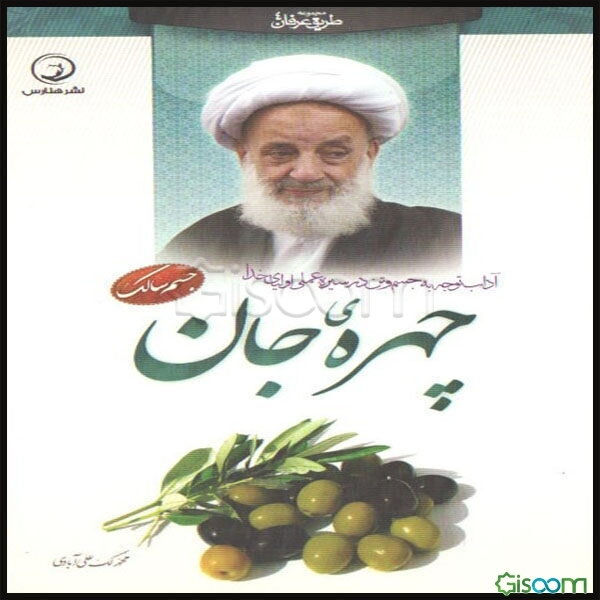 چهره‌ی جان: آداب توجه به جسم و تن در سیره‌ عملی اولیای خدا