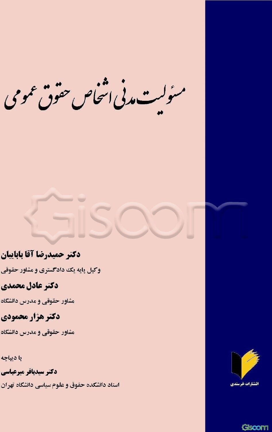 مسئولیت مدنی اشخاص حقوق عمومی