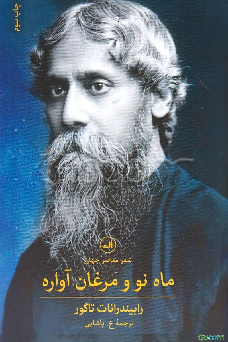 ماه نو و مرغان آواره