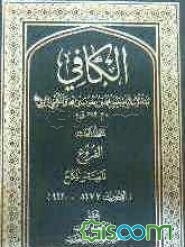 الکافی: الفروغ المعیشه و النکاح (الاحادیث 8677 - 9920) (جلد 10)