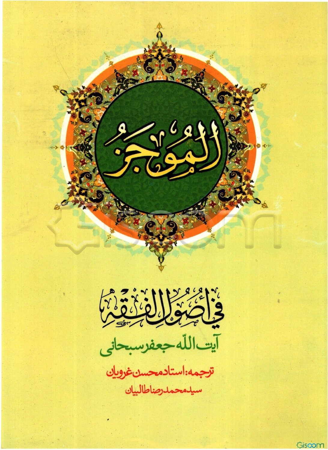 الموجز فی اصول الفقه (جلد 1)