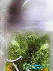 وقتی او می‌آید: یادداشتهای کوتاه و برداشتهایی از روایات درباره حضرت مهدی (عج)