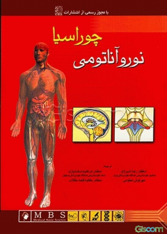 نوروآناتومی چوراسیا