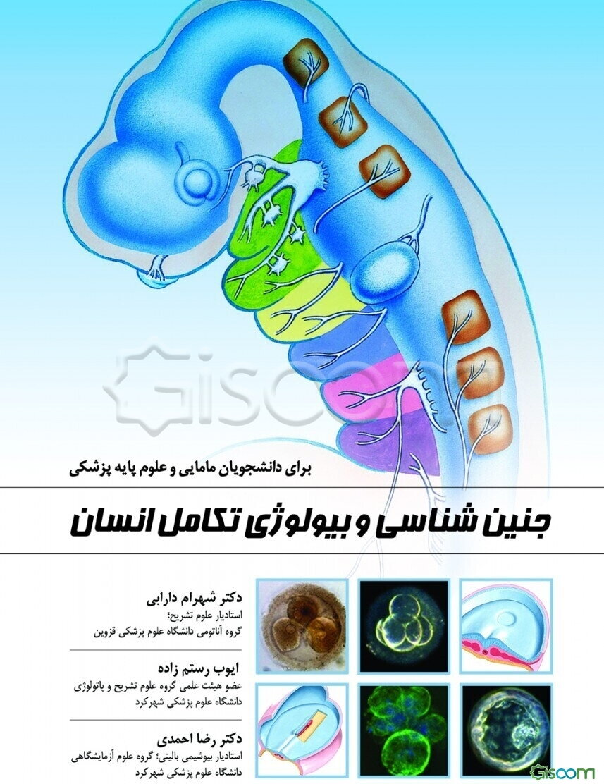 جنین‌شناسی و بیولوژی تکامل انسان برای دانشجویان مامایی و علوم پایه پزشکی