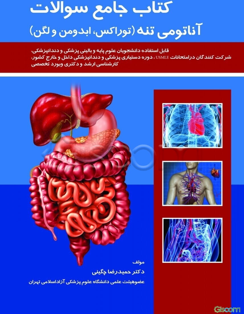 کتاب جامع سوالات آناتومی تنه: توراکس، ابدومن و لگن