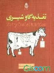 تغذیه گاو شیری