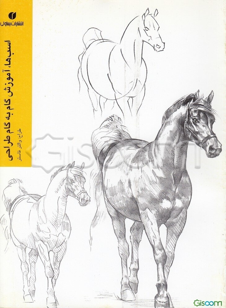 اسب‌ها: آموزش گام به گام طراحی