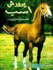 پرورش اسب: تغذیه، تولید مثل، تربیت